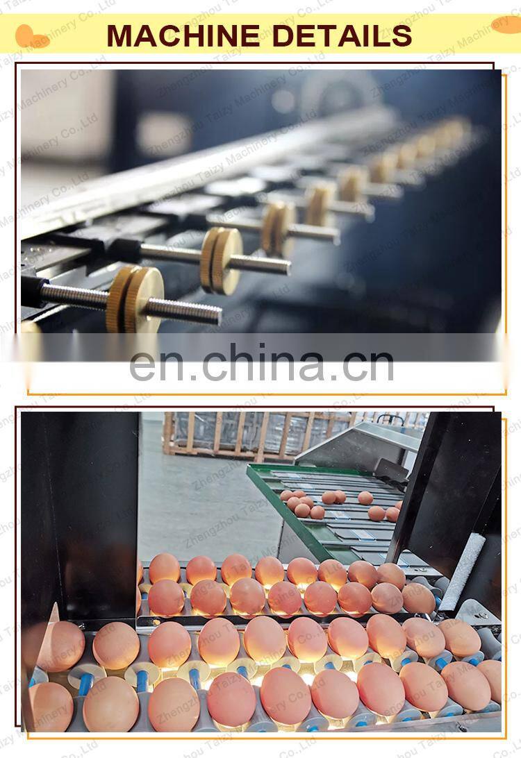 commercial chicken egg grading machine egg sorting grading machinery
