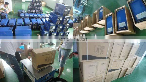 cheap WSE-315 ac dc tig welder