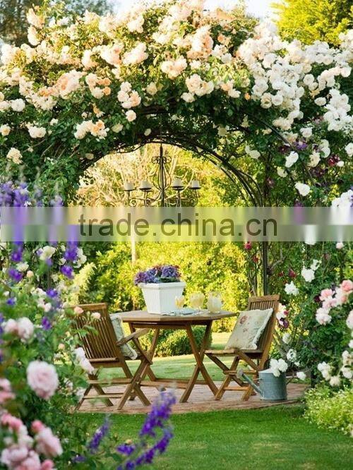 beautiful iron garden arch gate