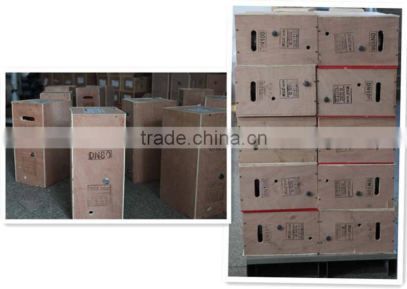 50-300mm Large Diameter Water Meters