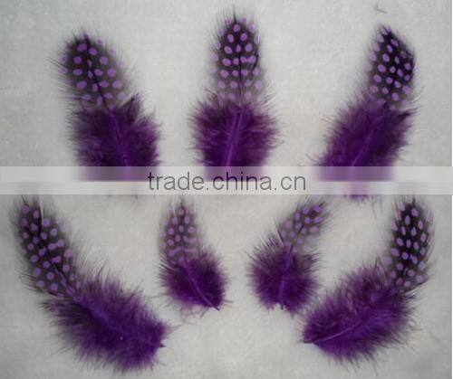 Wholesale Exotic Feathers For Craft Gift Decoration