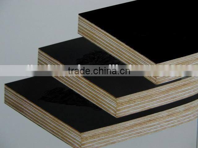 Black Waterproof Film Faced Plywood