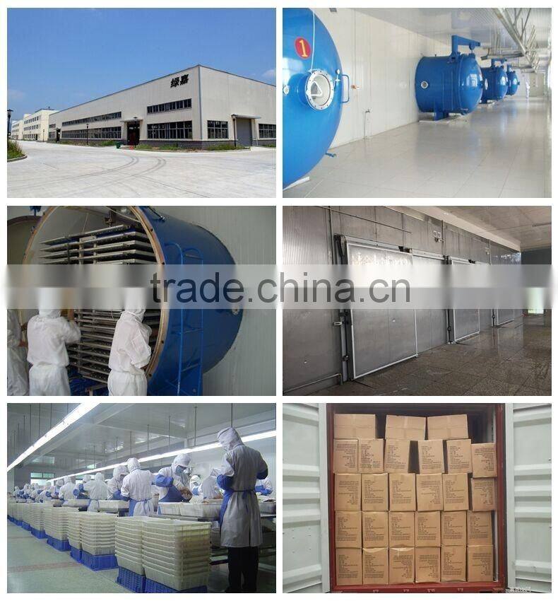 100% Natural Freeze Dried Squid