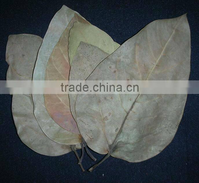 Dried flower decoration