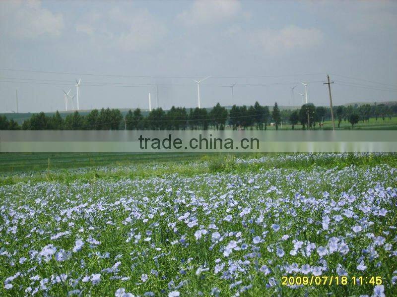 linseed oil(ALA) cold pressed