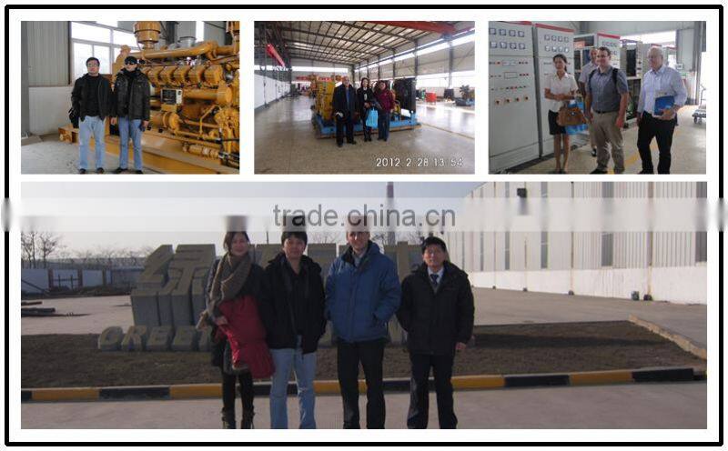 Electric power generation thermoelectric generator 2mw biogas engine generator