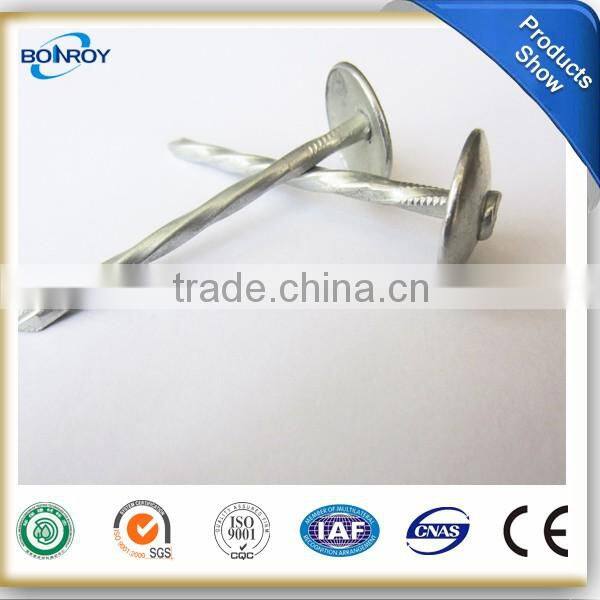 Umbrella head roofing nails 51mm