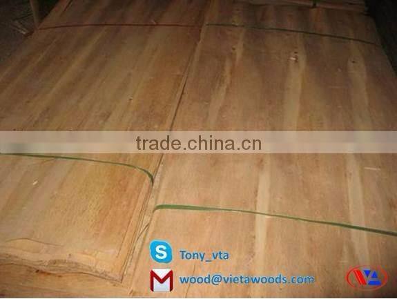 Eucalyptus joint Core Veneer for making Plywood from Vietnam
