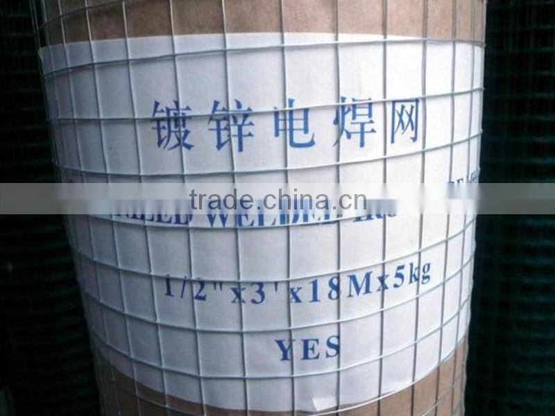 Galvanized Welded Wire Mesh from China Anping Factory