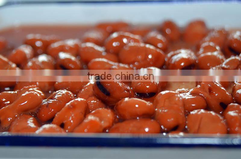 canned fava beans in brine 397g