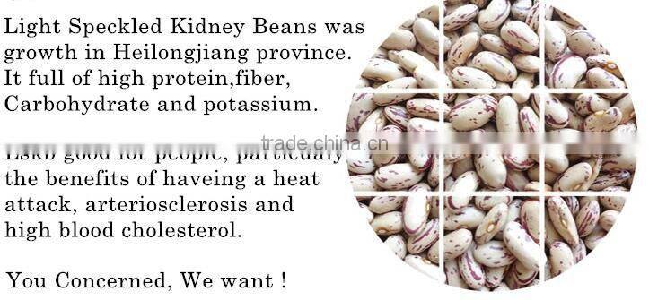 New crop light red speckled kidne y beans long shape bamboo bean for europe