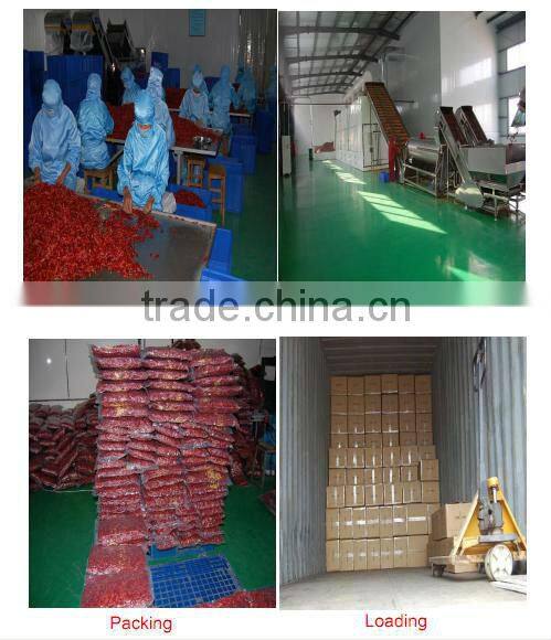 tianying small chilli w/o stem