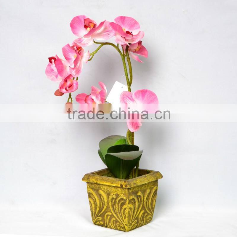 Tori Home Phalaenopsis Orchid Plant in The Gold-coated Pot