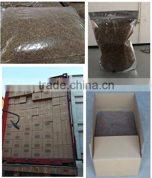 Wholesale Pet Food Dried Fish