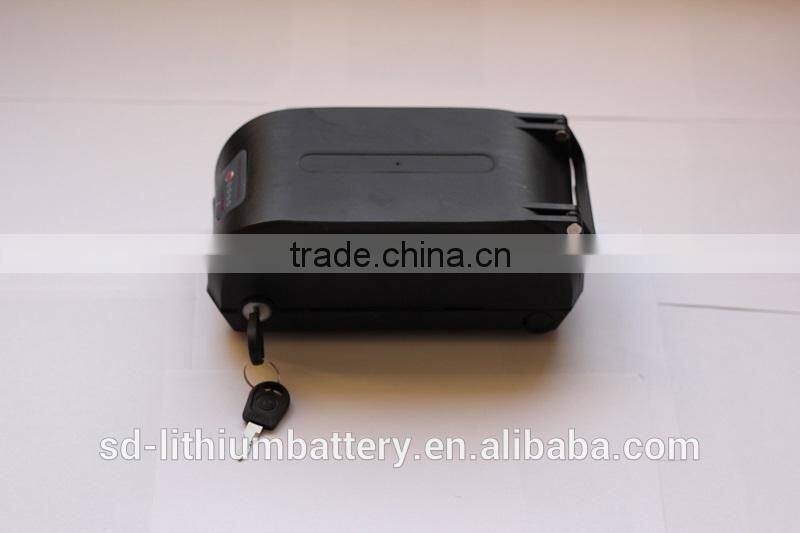 48v battery