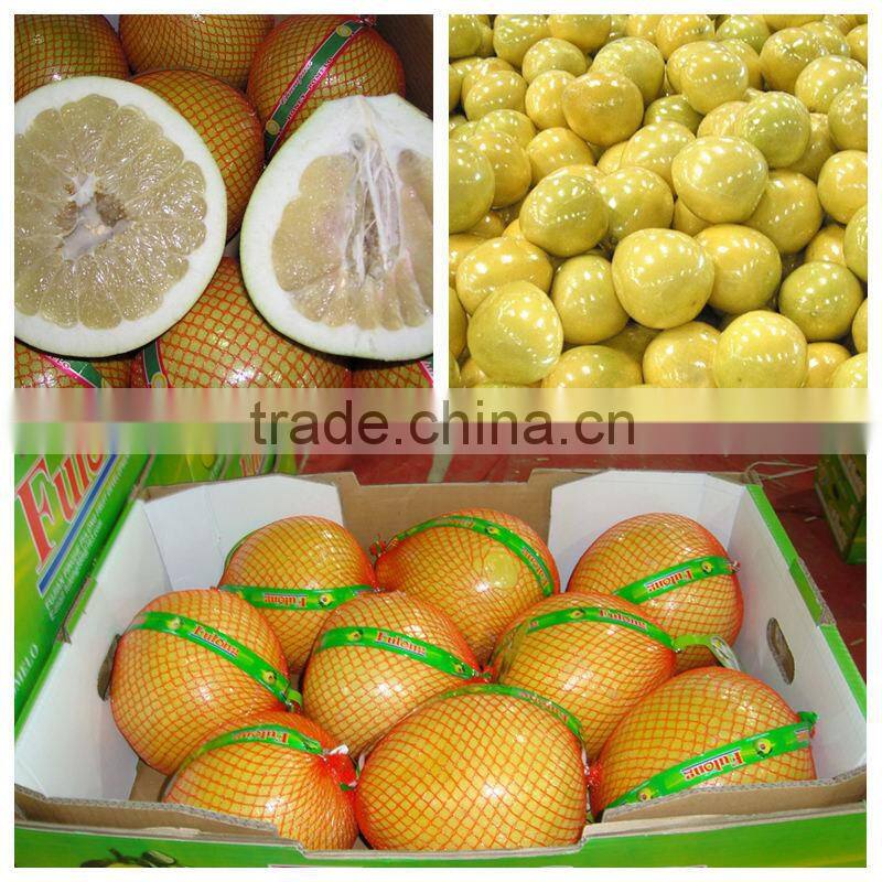 Citrus Fruits New Crop Wholesale Prices of Pomelo