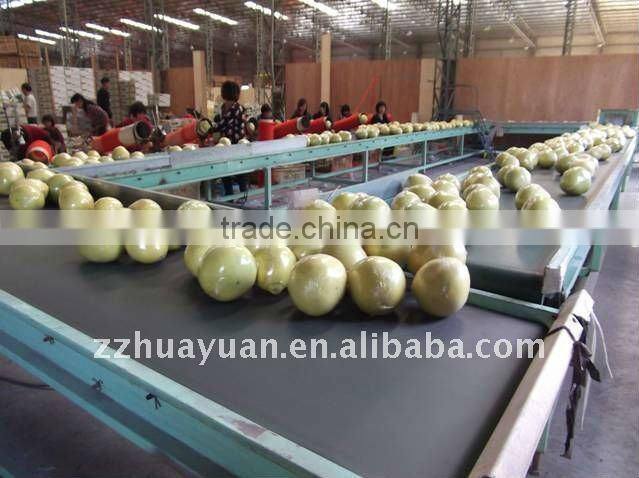 2015 fresh pomelo for sale