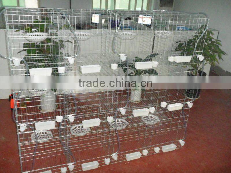 Poultry Equipment HIGH QUALITY PIGEON CAGE (FACTORY)