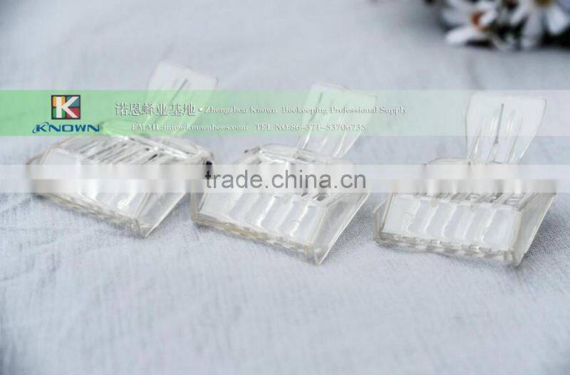 beekeeping equipments queen cell cup on sale