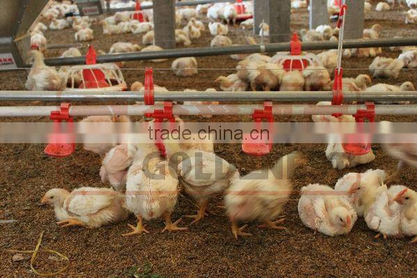 nipple drinker system with drip cup