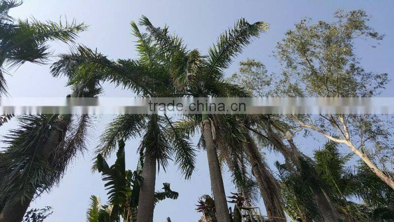 Palm Leaf Chipper Shredder