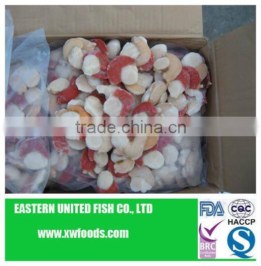 frozen IQF scallop meat