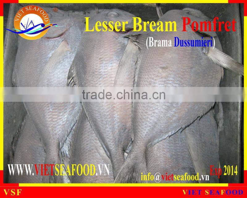 FROZEN W/R LESSER BREAM POMFRET
