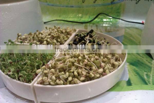 Sprout Growing Machine-No chemial, Household Using, Green and Healthy
