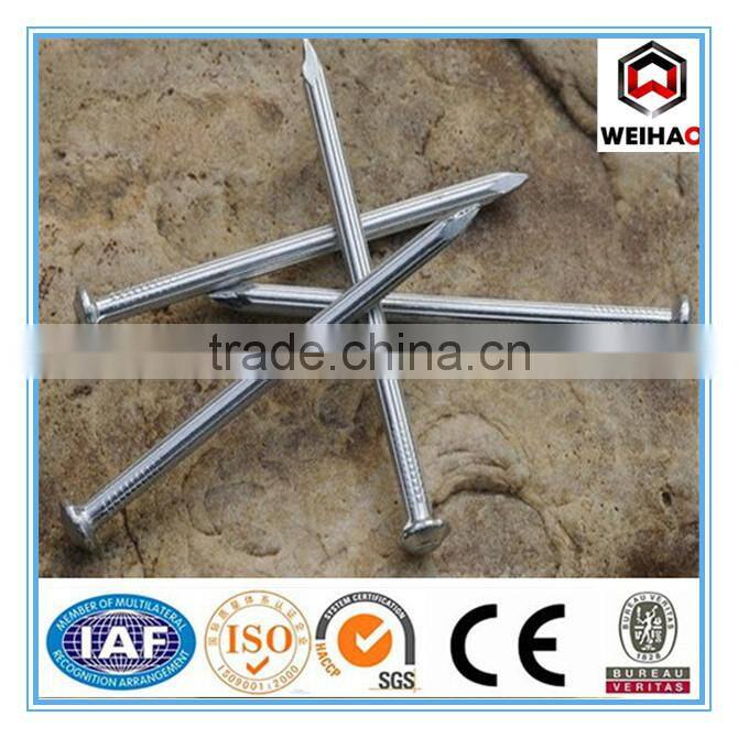 galvanized hardened concrete steel nails/stainless steel concrete nail