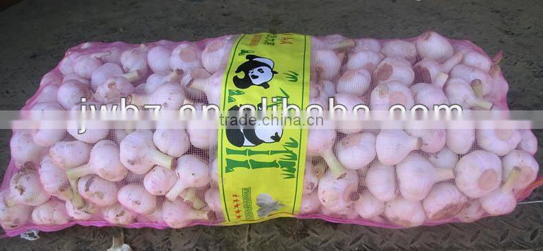 modest price garlic packaging mesh sack
