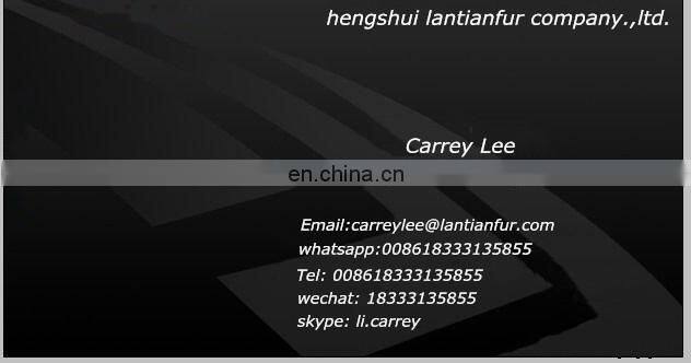 Raccoon Fur Skin /Fur Skin / Real Raccoon Material Fur Skin for Garment Fur Plates