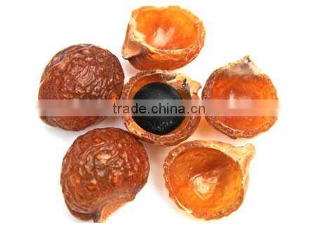 Superior Grade Soapnut Shell For OEM Manufacturing