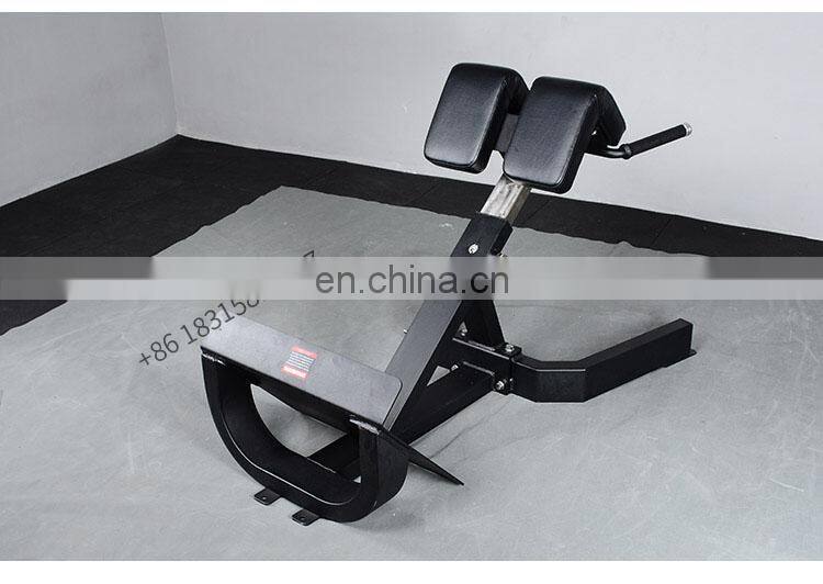 Commercial precor gym equipment bench press workout back extension bench