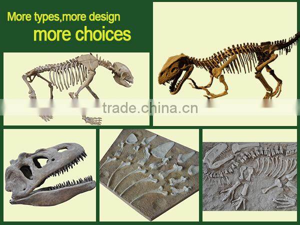 JLDF-1114 Science Museum Dinosaur Skeleton Model
