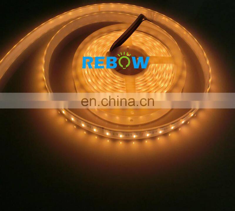 Factory Supply RGBW RGB+CCT RGB+WW+PW(5 in 1)LED Flexible Strip 5050 IP 68 Waterproof