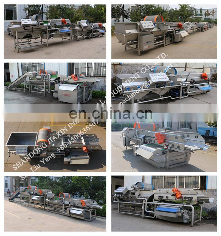 Factory  directly supply leaf vegetable washing machine industrial