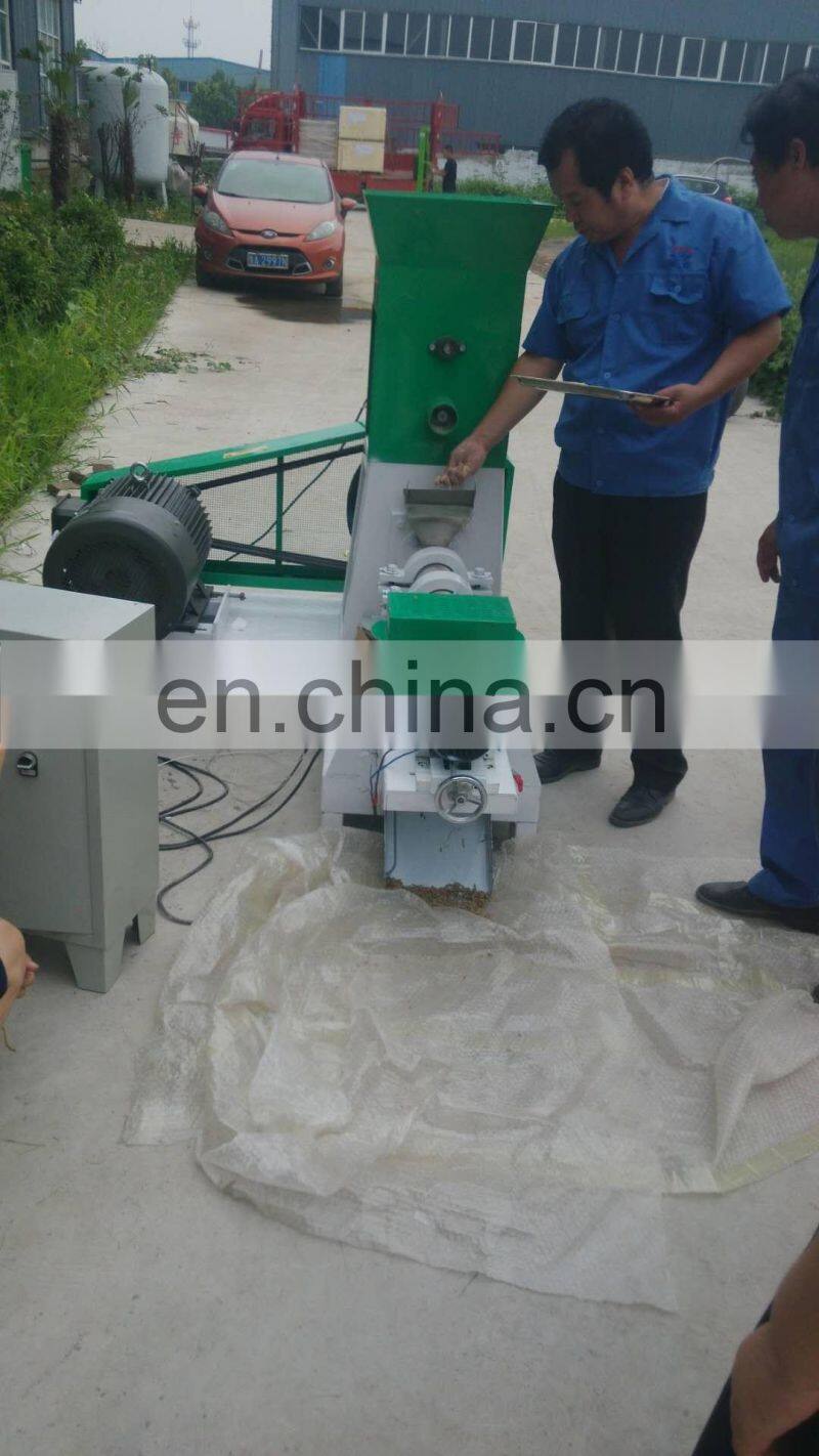 Hot sale 2019 new model floating fish pellet making machine