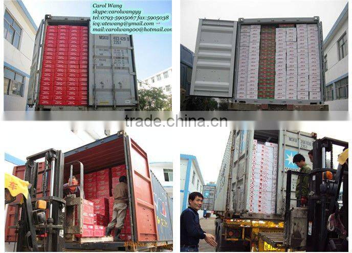 export Food & Beverages products,2200gram tomato paste for guinea