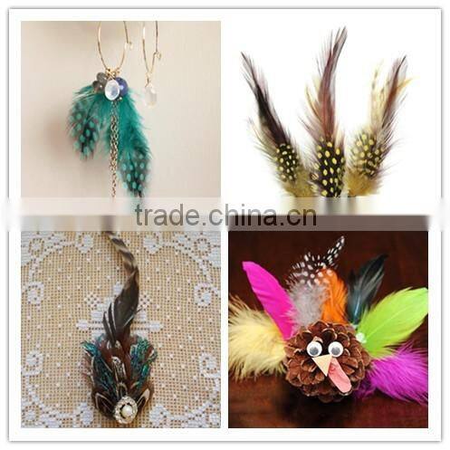 Wholesale Exotic Feathers For Craft Gift Decoration