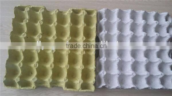 EP 100% Recycled Paper Enviromental Egg Tray