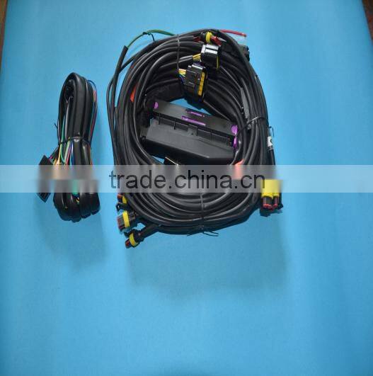 cng lpg conversion kit/cng lpg ecu for car ecu kits