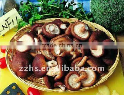 Canned Shitake Mushroom