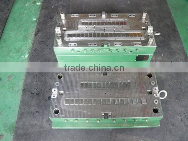 Professional Customized injection moldings