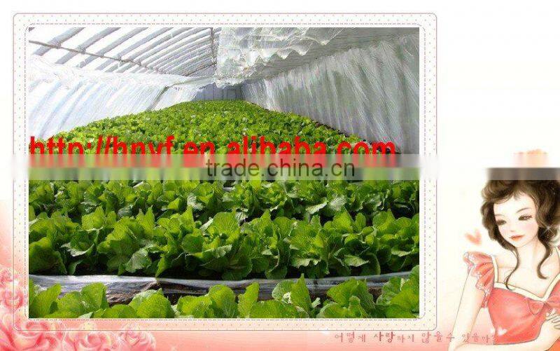 Anti-UV long age Greenhouse Film