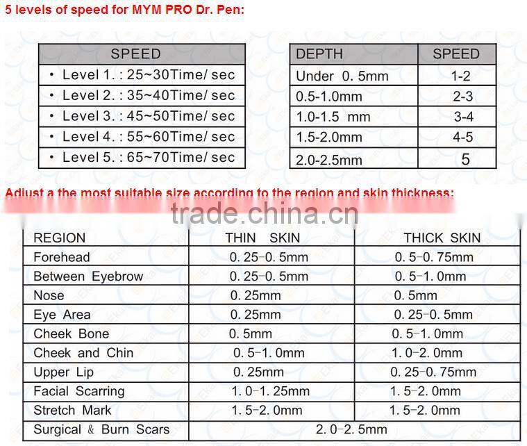Christmas promotion dermaroller pen 36 or 42 pins pen from Beir DNS60