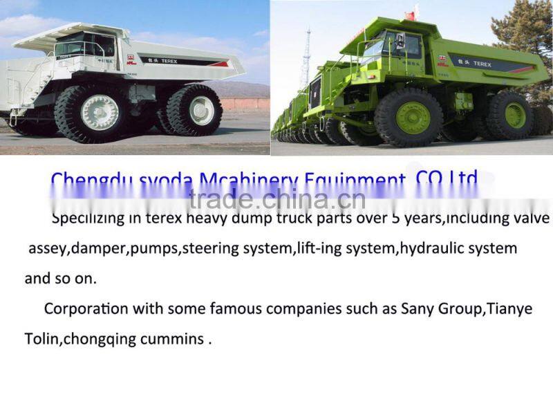 TEREX/ NHL 3305/3307/tr50 REAR RIDE hydraulic CYLINDER