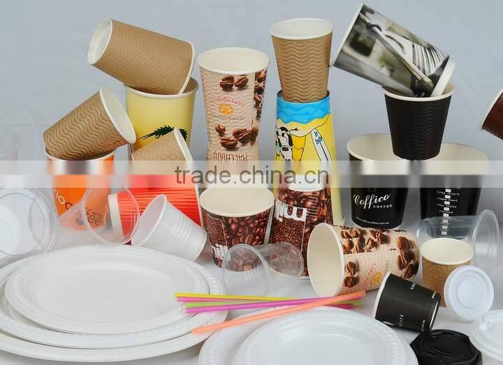 9x11 inch Disposable Oval Plastic Plates Cake Dishes