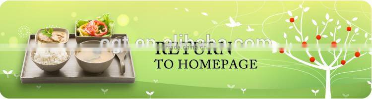 eco healthy kids lunch bowl