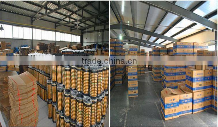 FS1003,P551003 filter fuel for truck