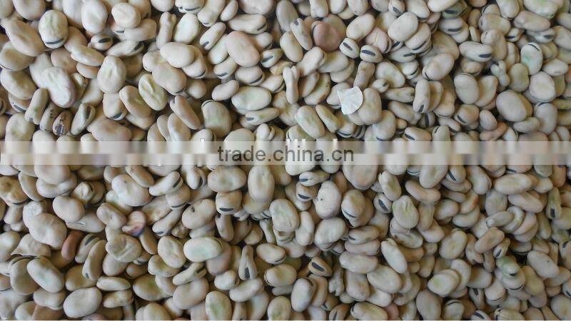 bean seed cleaning machine